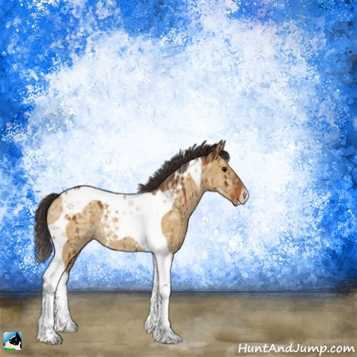Horse Color:Buckskin Ice Dun Tobiano Rabicano Brindle 