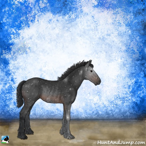 Horse Color:Brown Rabicano 