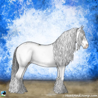Horse Color:Grullo Mushroom Sabino Rabicano