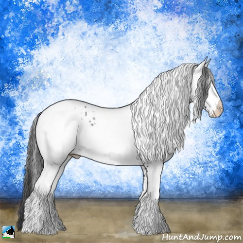 Horse Color:White Spotted Black Ice Rabicano 