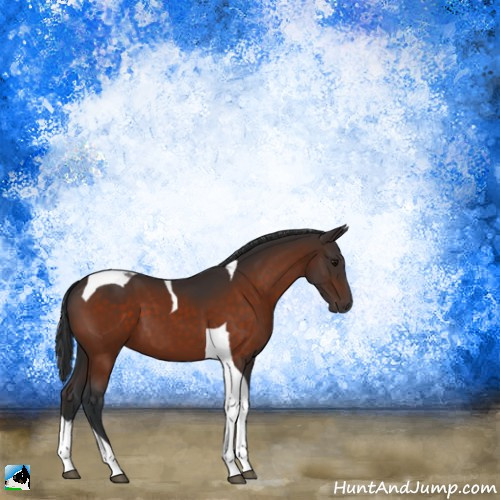 Horse Color:Bay Tobiano 