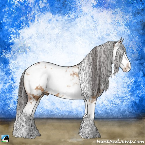 Horse Color:Buckskin Ice Dun Sabino Rabicano Brindle 