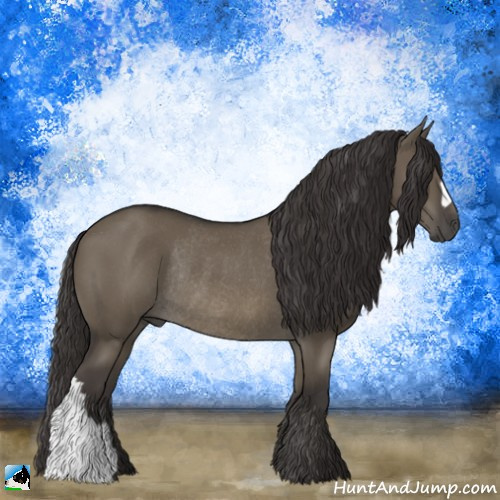 Horse Color:Smoky Grullo Mushroom Rabicano 