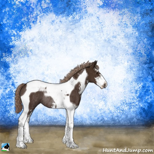 Horse Color:Liver Chestnut Sabino Tobiano Rabicano 