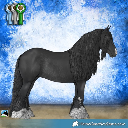 Horse Color:Black Rabicano 