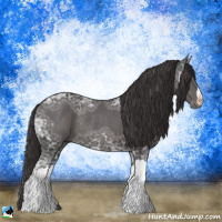 Horse Color:Smoky Black Ice Rabicano