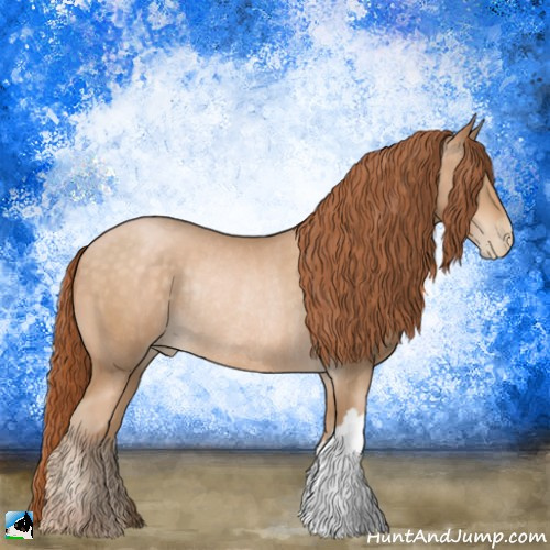 Horse Color:Buckskin Pearl Rabicano 