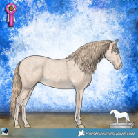 Horse Color:Perlino Ice Roan