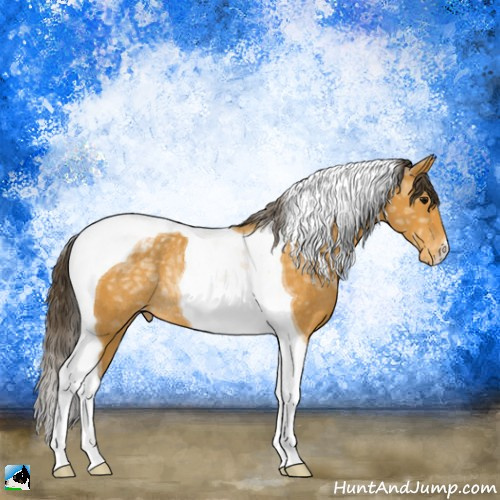 Horse Color:Buckskin Ice Tobiano Appaloosa Rabicano 