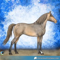 Horse Color:Buckskin Varnish 