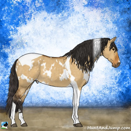 Horse Color:White Spotted Buckskin Dun Tobiano Rabicano 