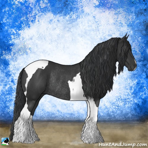 Horse Color:Black Tobiano Rabicano 
