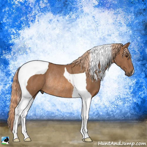 Horse Color:Chestnut Tobiano Rabicano 