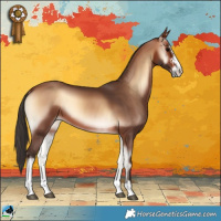 Horse Color:Bay Onyx Sabino