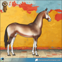 Horse Color:Bay Onyx Sabino