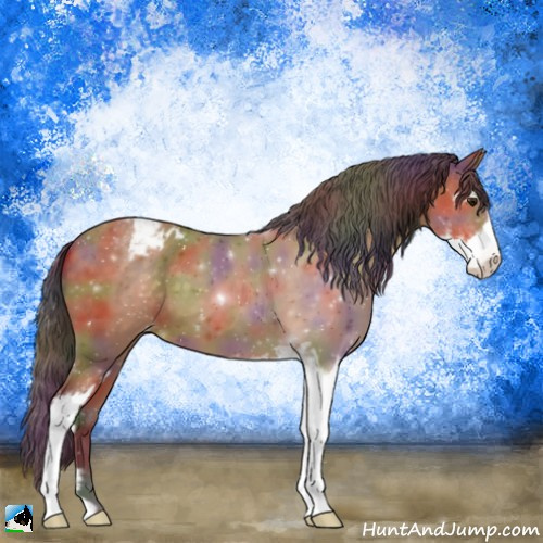 Horse Color:Nacre Buckskin Sabino Appaloosa 