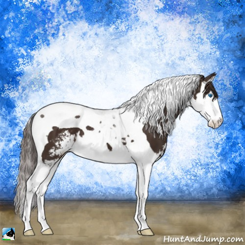 Horse Color:Liver Chestnut Sabino Splash Tobiano 
