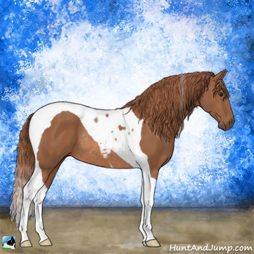Horse Color:Chestnut Sabino Tobiano Rabicano 