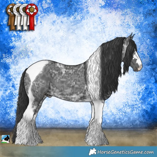 Horse Color:Black Ice Tobiano 