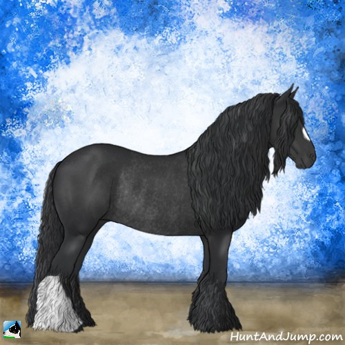 Horse Color:Black Rabicano 