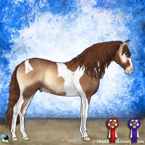 Horse Color:Red Onyx Sabino Tobiano Rabicano 