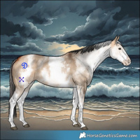 Horse Color:White Spotted Bay Dun 