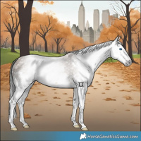 Horse Color:Gray Amber Champagne Splash 