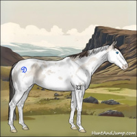Horse Color:Classic Champagne Dun Splash Tobiano