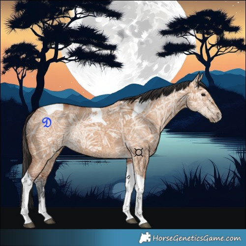 Horse Color:Bay Ice Dun Tobiano Rabicano 