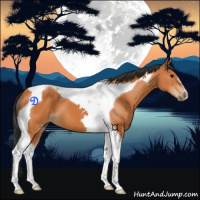 Horse Color:Bay Tobiano 