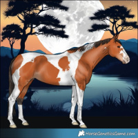 Horse Color:Bay Tobiano
