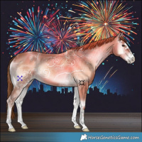 Horse Color:Red Onyx Ice 
