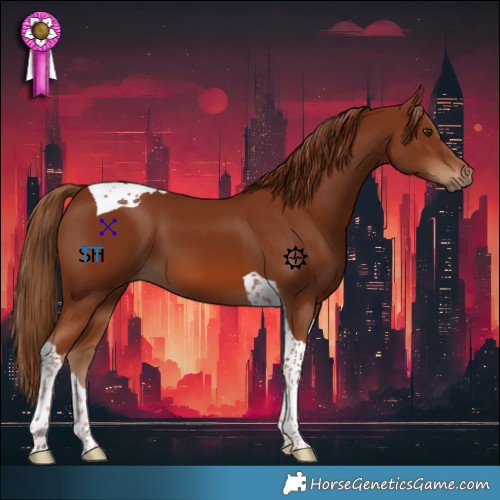 Horse Color:Chestnut Tobiano 