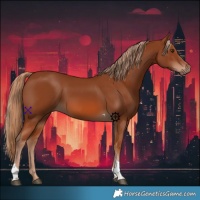 Horse Color:Chestnut Tobiano 