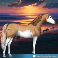 Horse Color:Chestnut Sabino Splash Varnish Rabicano 