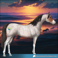 Horse Color:Bay Roan Sabino