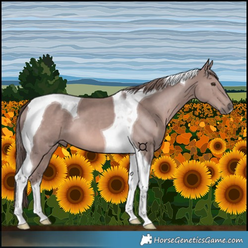 Horse Color:Platinum Chestnut Tobiano 