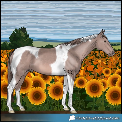 Horse Color:Platinum Chestnut Tobiano 