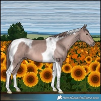 Horse Color:Platinum Chestnut Tobiano 