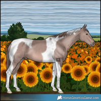 Horse Color:Platinum Chestnut Tobiano