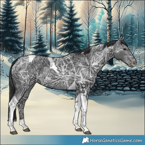 Horse Color:Black Ice Tobiano 