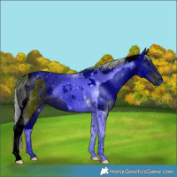 Horse Color:ERROR: UNKNOWN ANOMALY