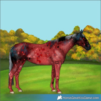 Horse Color:ERROR: UNKNOWN ANOMALY