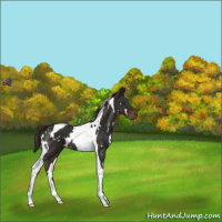 Horse Color:White Spotted Liver Chestnut Tobiano 