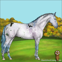 Horse Color:Watercolor White Spotted Bay Dun 