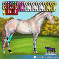 Horse Color:Nacre White Spotted Bay Ice Pearl Onyx