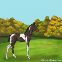 Horse Color:Liver Chestnut Tobiano 