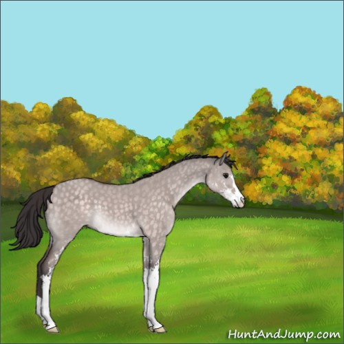 Horse Color:Platinum Buckskin Dun Sabino 