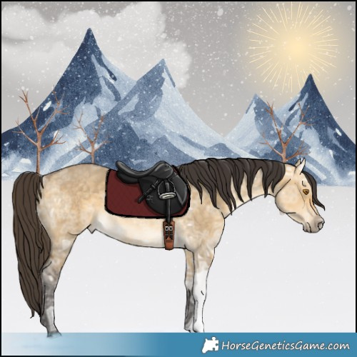 Horse Color:Buckskin Ice Dun Rabicano 