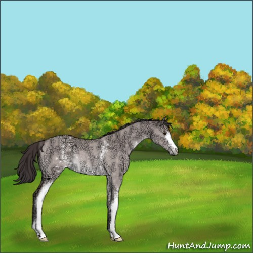 Horse Color:Platinum White Spotted Buckskin Ice Dun Rabicano 
